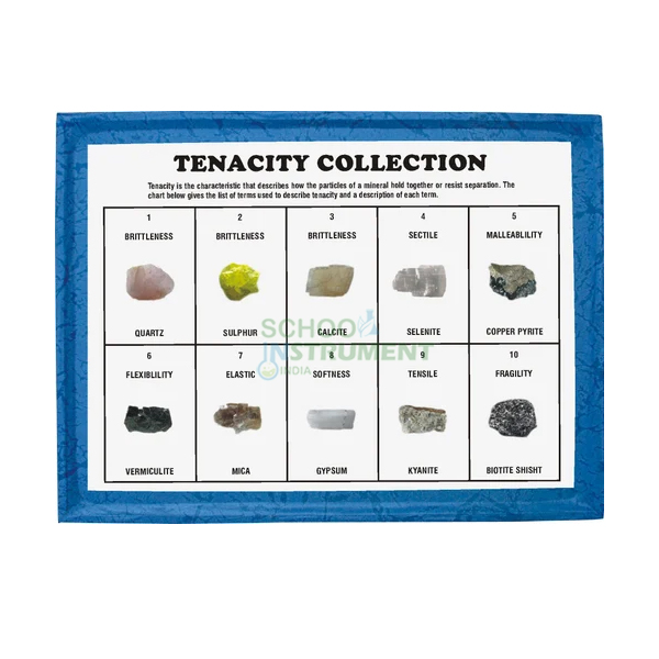 Tenacity Collection, Set of 10